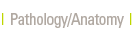 Pathology/Anatomy Products